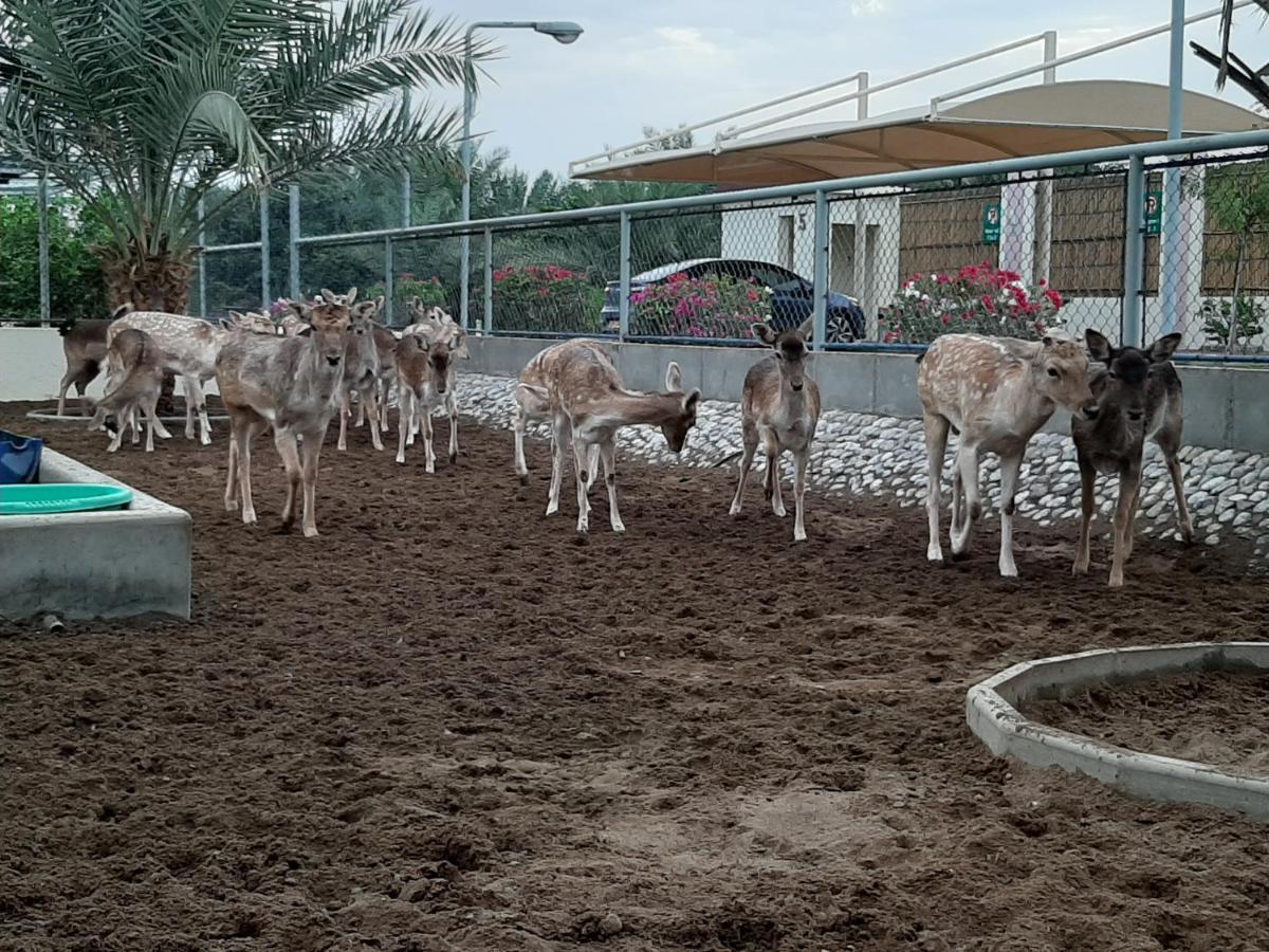 Asahalah Farm Pool Villas Seeb Exterior foto