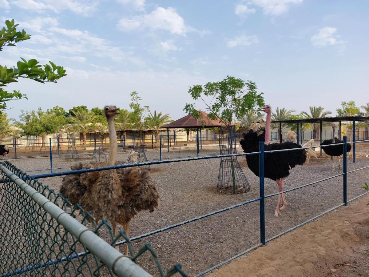 Asahalah Farm Pool Villas Seeb Exterior foto